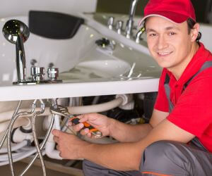 About Plumbers Pros Rochester Mills, PA